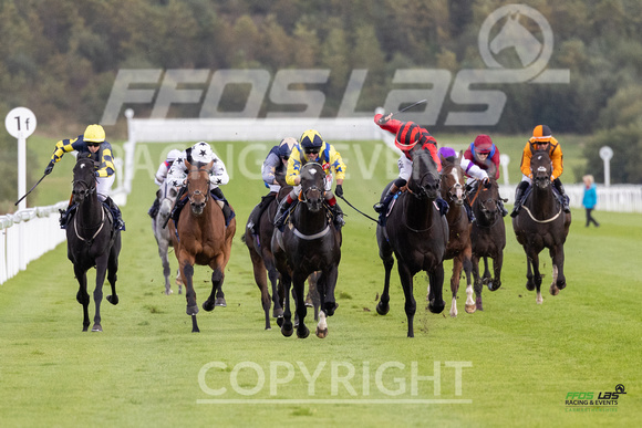 Ffos Las - 25th September 2022 - Race 7 -  Large-9