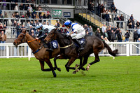 Ffos Las Race Day - 11th November 24 - Race 1 -17