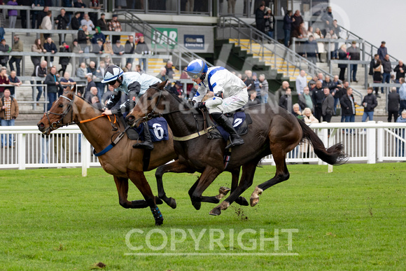 Ffos Las Race Day - 11th November 24 - Race 1 -17