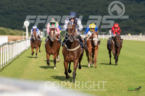 Ffos Las - 5th July 2022  -  Race 4 - Large-5