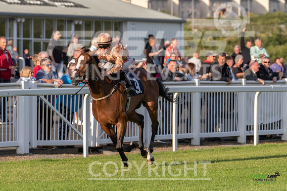 Ffos Las - 5th July 2022  -  Race 5 - Large-4