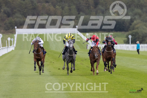 Ffos Las - 25th September 2022 - Race 2 -  Large-2