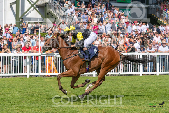 Ffos Las Ladies  Day - 26th Aug 2022 - Race 3-6