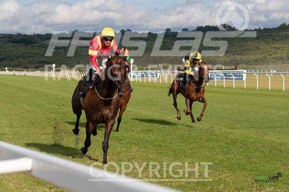 Ffos Las - 5th July 2022  -  Race 3 - Large-10
