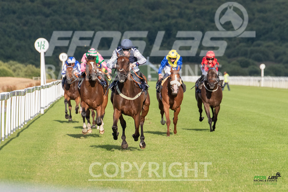 Ffos Las - 5th July 2022  -  Race 4 - Large-3