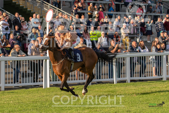 Ffos Las - 5th July 2022  -  Race 5 - Large-6