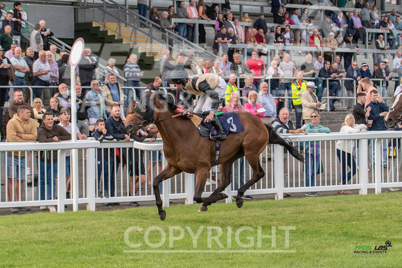 Ffos Las - 5th July 2022  -  Race 6 - Large-3