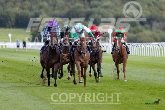 Ffos Las - 25th September 2022 - Race 3 -  Large-4
