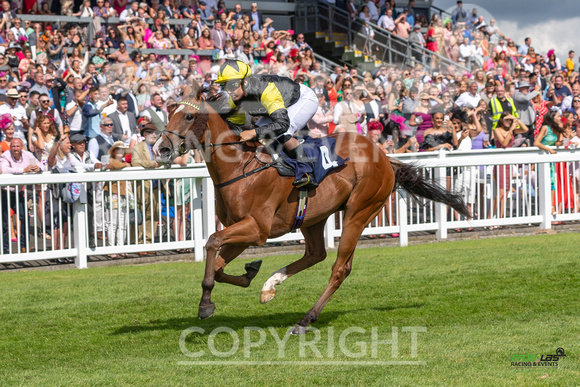 Ffos Las Ladies  Day - 26th Aug 2022 - Race 3-5