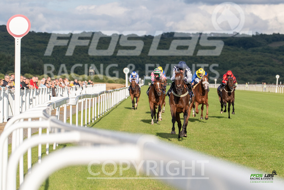 Ffos Las - 5th July 2022  -  Race 4 - Large-6