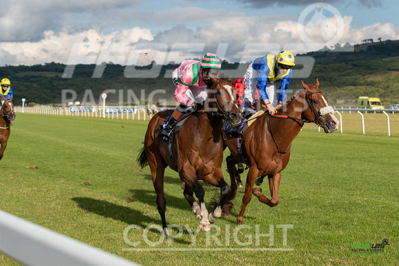 Ffos Las - 5th July 2022  -  Race 4 - Large-8
