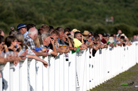 Ffos Las - 30th July 2024 - Race 2-2